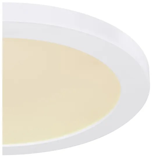 Globo 12379-24W - Plafoniera LED LASSE LED/24W/230V