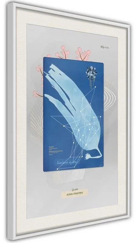 Poster  Alga Cyanotype  Cornice Quadri Cornice nera con pass-partout, Larghezza x Altezza Home decor 40x60