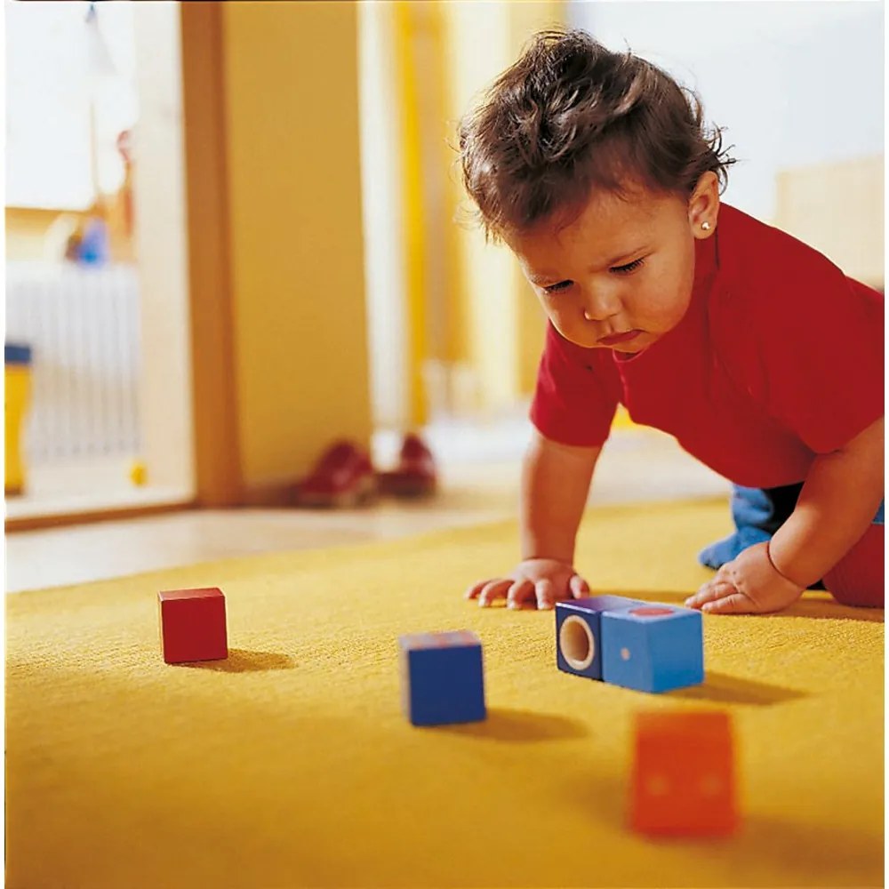 Cubi da scoprire - 6 pezzi