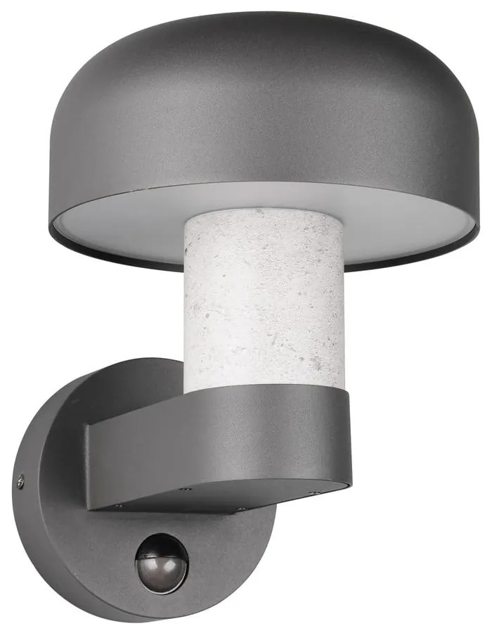 Illuminazione esterna con sensore di movimento da parete (altezza totale 24,5 cm) Fraser – Trio