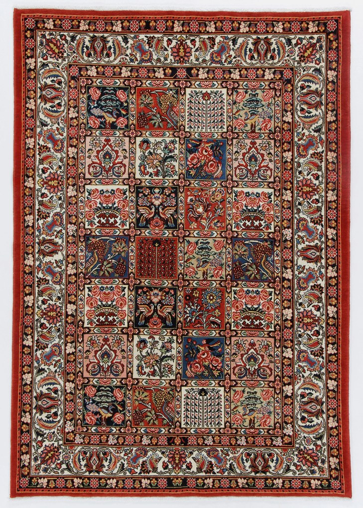 Bakhtiar Tappeto 150 x 220 (Iran) Annodato A Mano