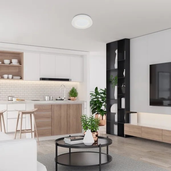 Rabalux - Plafoniera LED dimmerabile LED/38W/230V bianco + +TC 3000-6500K