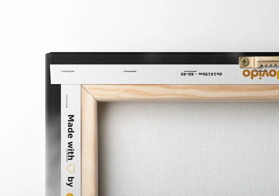 Quadro su tela – Natura morta spa in bianco e nero