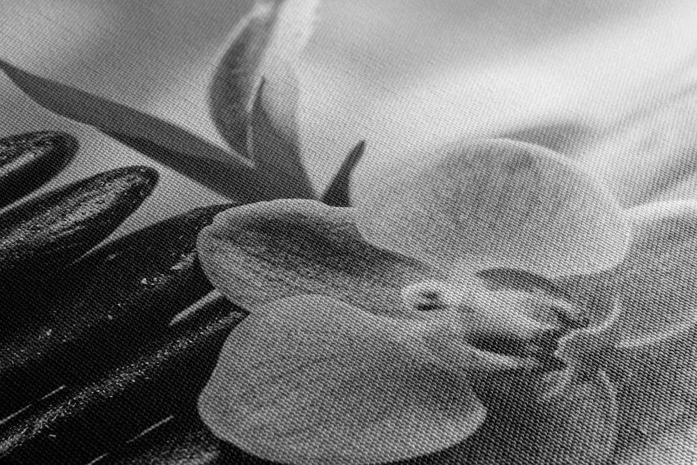 Stampa su tela – Composizione Zen meditativa in bianco e nero