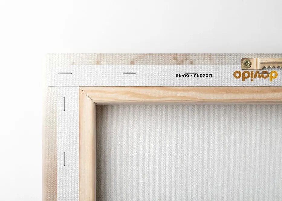 Quadro su tela – Cotone soffice
