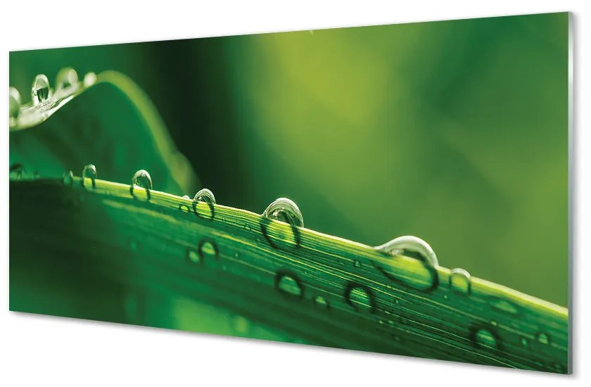 Quadro di vetro Macro gocce d'erba 100x50 cm 2 appendini
