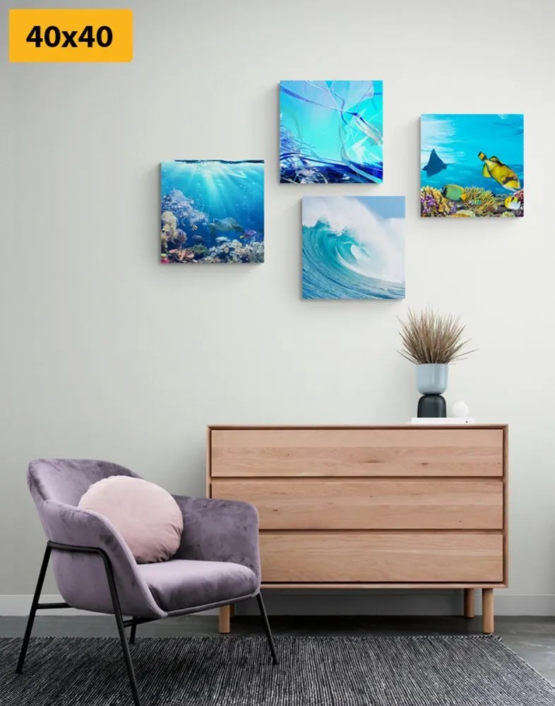 Set di quadri – Vita sotto il mare