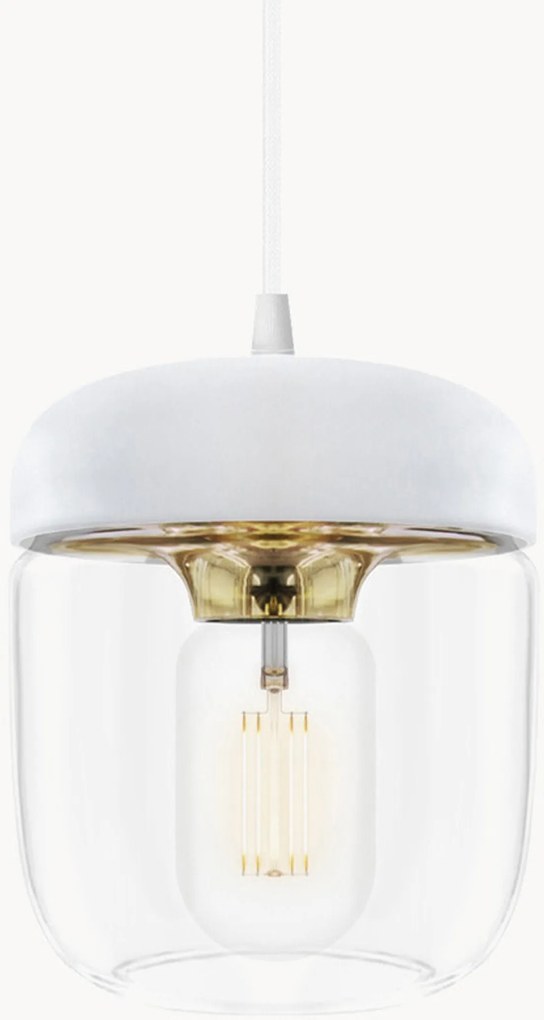 Lampada a sospensione Acorn