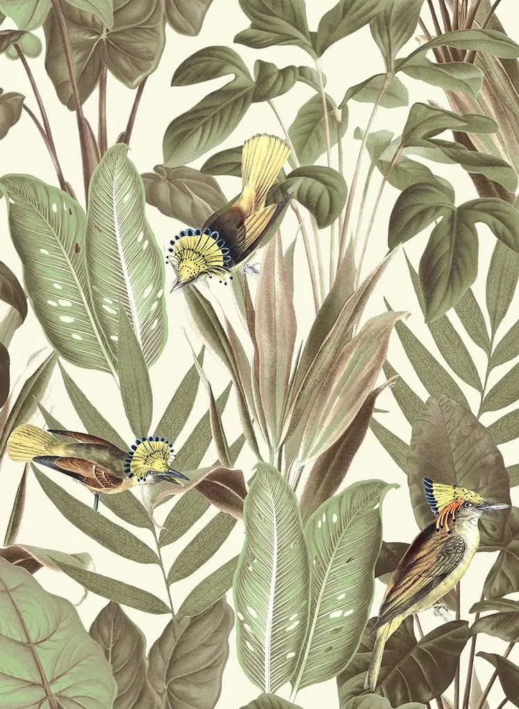 Rebel Walls Carta da parati Birds of Paradise - Bright Dawn