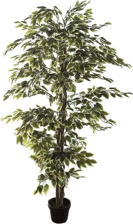 Pianta artificiale Ficus in vaso H 180 cm ø 16 cm