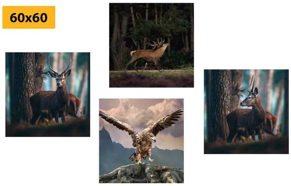 Set di quadri – Bellezza degli animali del bosco