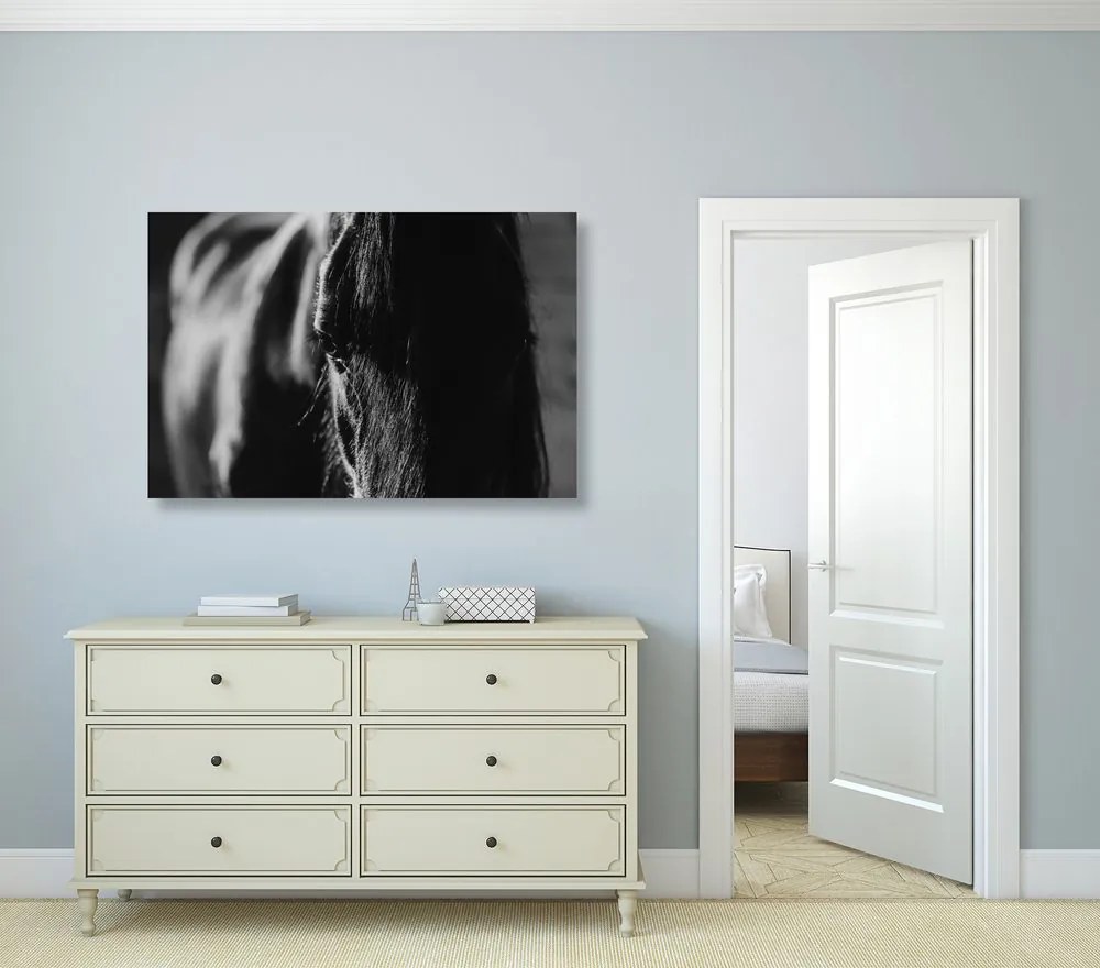 Quadro su tela – Cavallo maestoso in bianco e nero