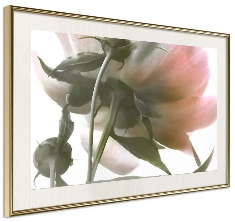 Poster  Under the Flower  Cornice Quadri Cornice d'oro con passe-partout, Larghezza x Altezza Home decor 60x40