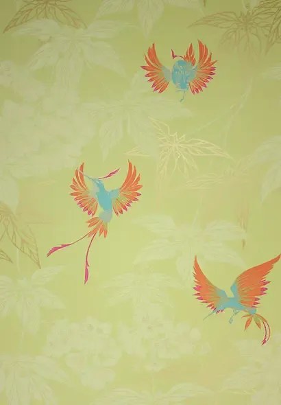 Osborne & Little Carta da parati Grove Garden - Lime