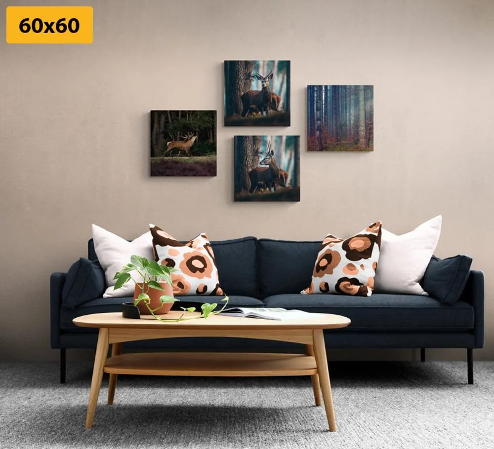 Set di quadri – Incanto degli animali del bosco