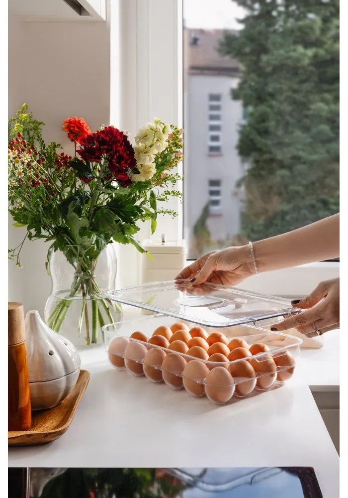 Portauova in plastica 33x21 cm – Casa De Engel