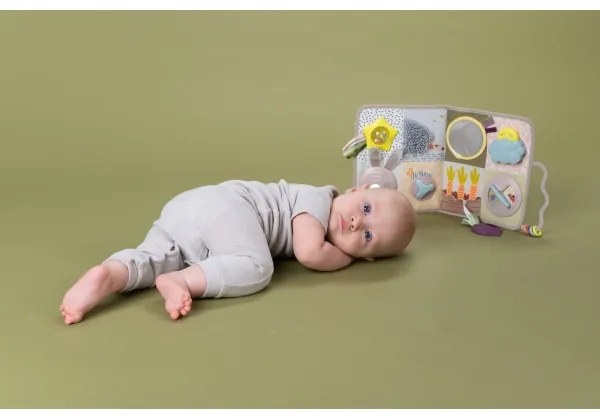 Taf Toys - Centro giochi per culla con melodia Giardino 3xAAA