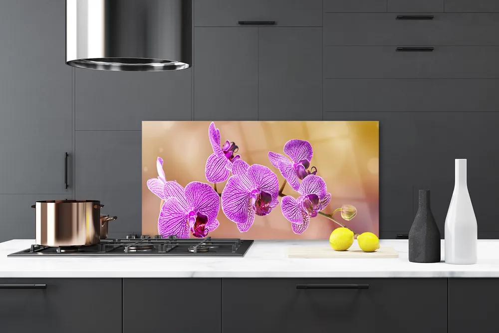 Pannello paraschizzi cucina Gambi di orchidea Fiori Natura 100x50 cm