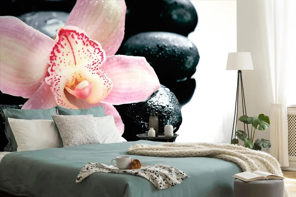 Carta da parati – Orchidea esotica