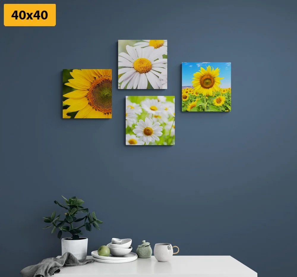 Set di quadri – Splendidi fiori nel prato
