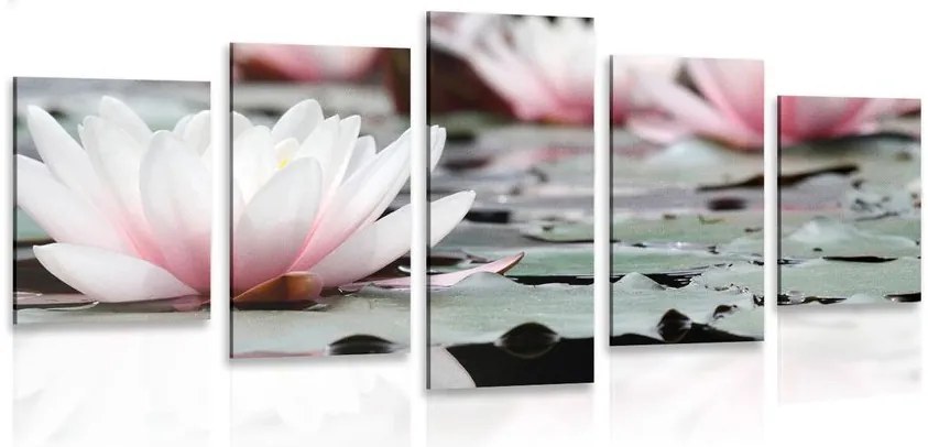 Quadri 5 pezzi – Fiore di loto