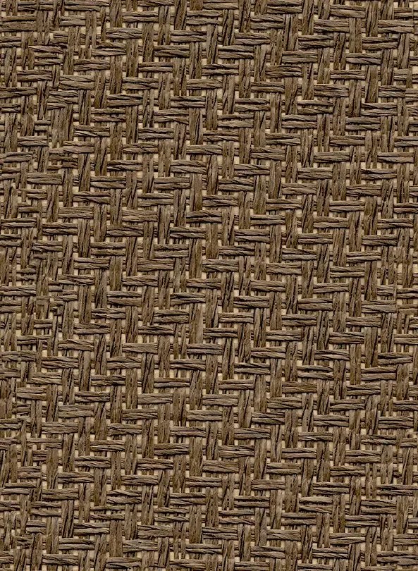 Coordonne Carta da parati Raffias+4 - 9800027