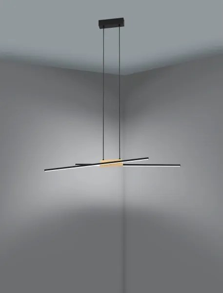 Eglo 900489 - Lampadario a sospensione con filo LED dimmerabile PANAGRIA 2xLED/13W/230V