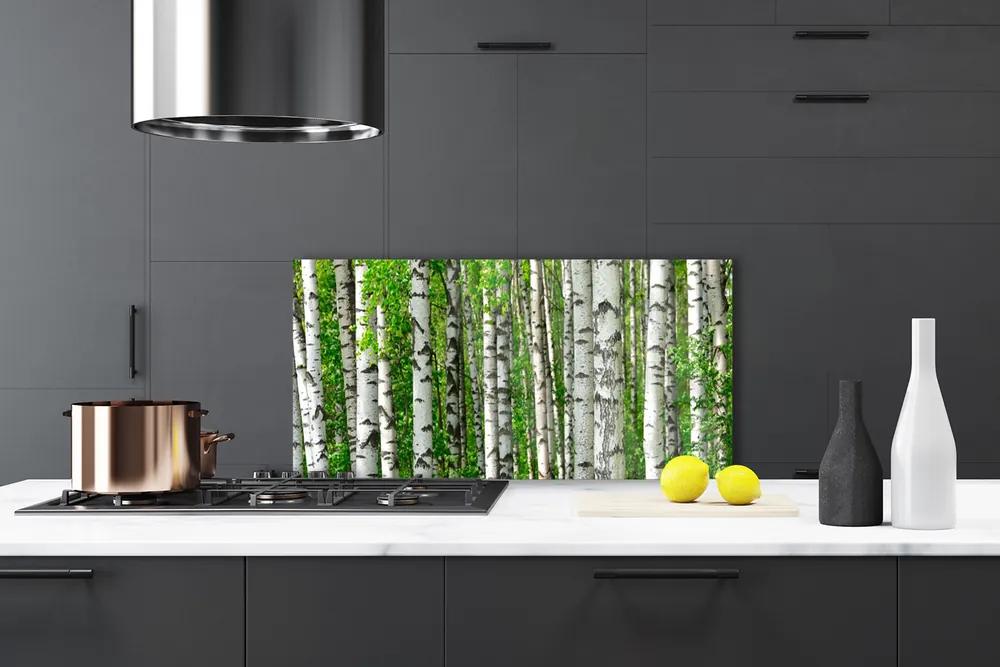 Rivestimento parete cucina Foresta, piante, natura 100x50 cm