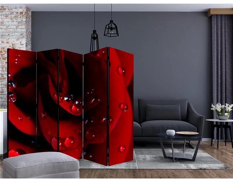 Paravento Red rose with water drops II [Room Dividers]