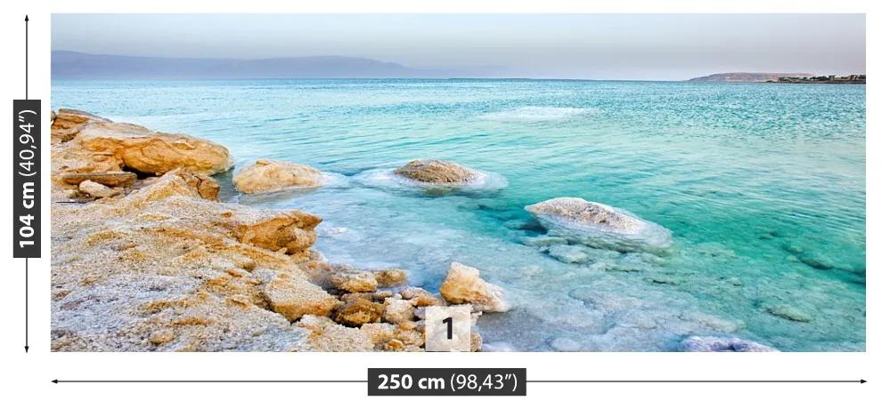 Carta da parati Mar Morto 104x70 cm