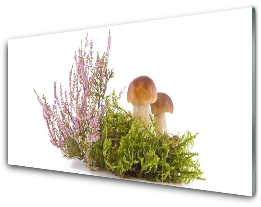 Quadro acrilico Funghi, piante, natura 100x50 cm