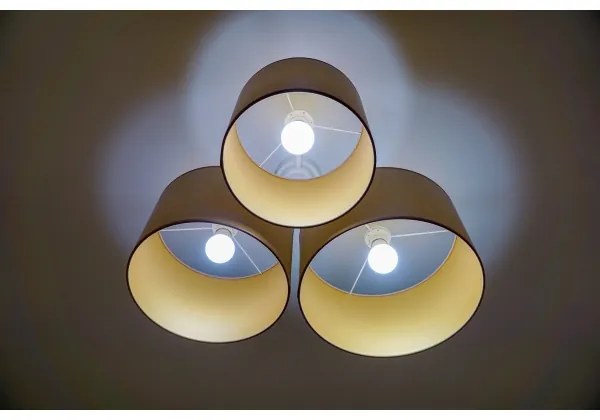 Duolla - Plafoniera ROLLER TRIO 3xE27/60W/230V marrone