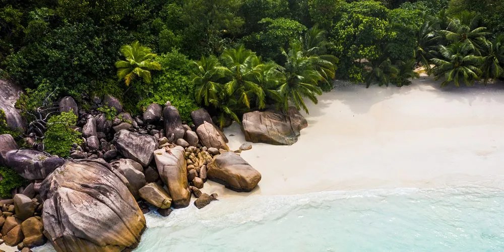 Quadro su tela – Costa delle Seychelles