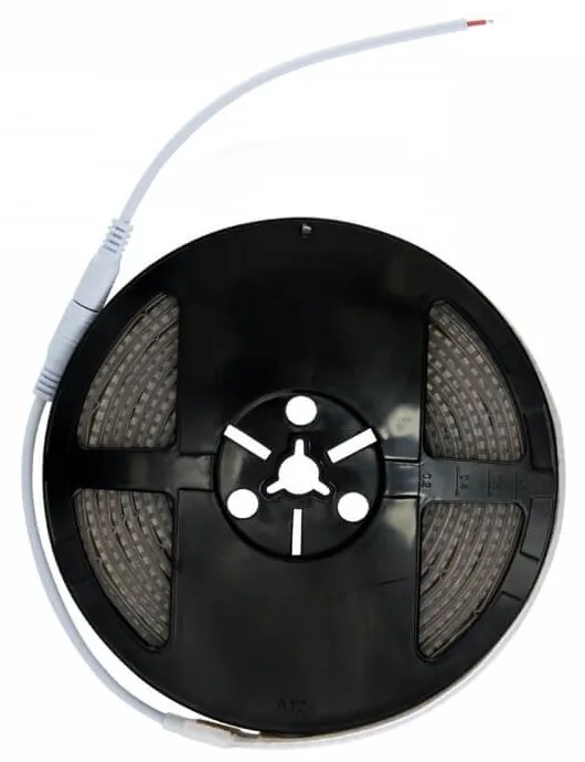 Striscia LED Professional 2835/224 - IP67 - 25W/m - 2.900lm/m- 5m - 24V Colore Bianco Naturale 4.500K