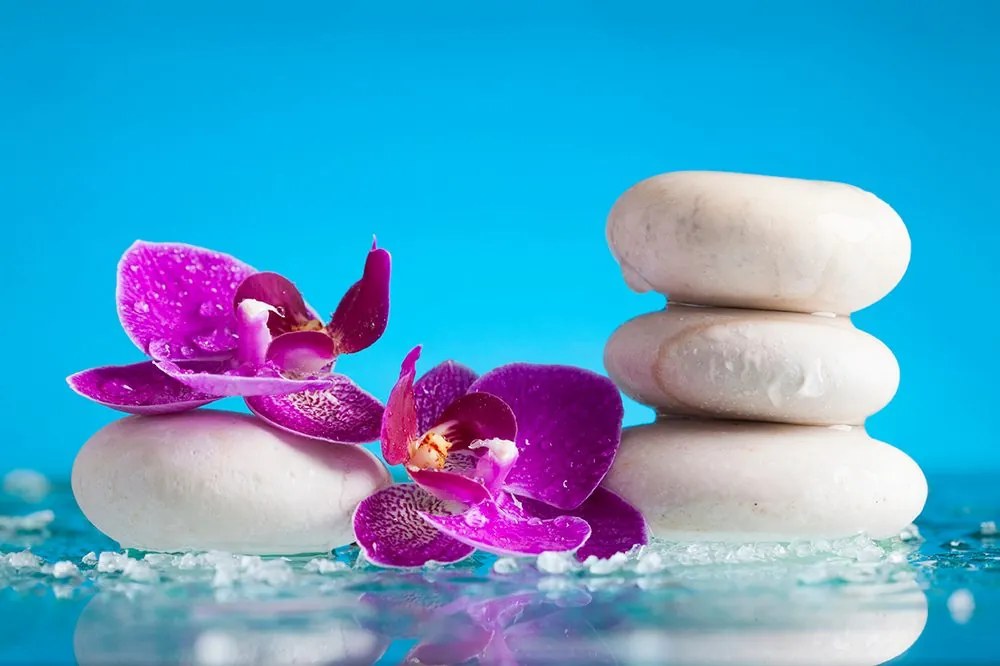 Carta da parati autoadesiva – Natura morta wellness