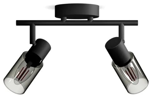 Philips - Faretto PALMS 2xE14/25W/230V