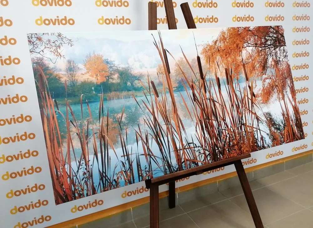 Quadro su tela – Fiume nel mezzo della natura autunnale