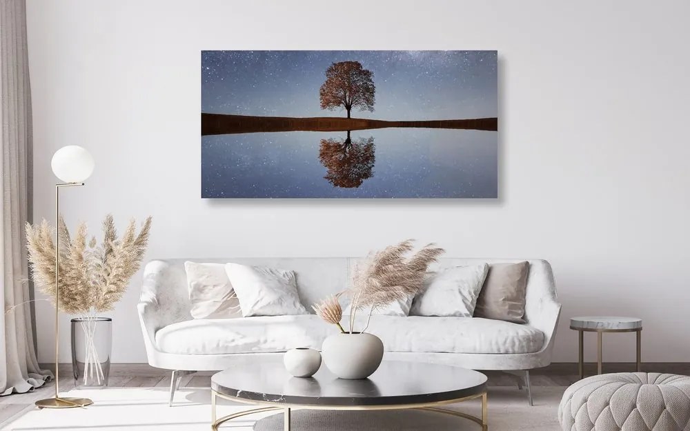 Quadro su tela – Cielo stellato sopra un albero solitario