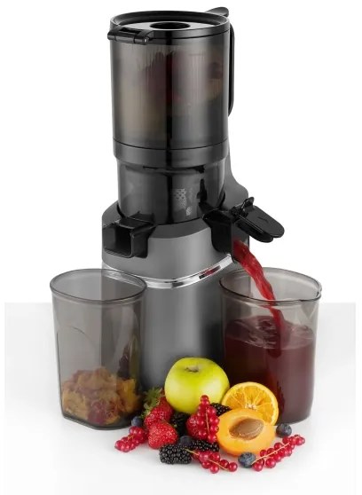 Concept LO7120 - Spremiagrumi lento JUICY 250W/230V grigio