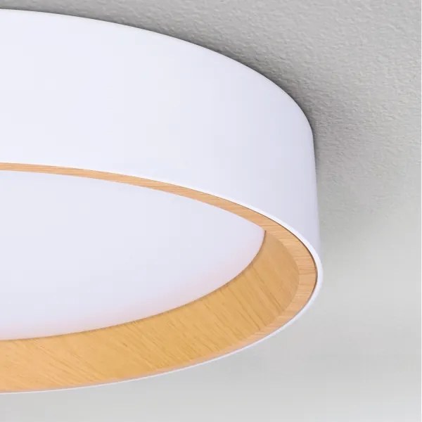 Brilagi -Luce LED dimmerabile LARIOS LED/48W/230V 3000-6500K ø 39 cm white+RC