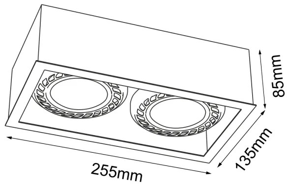 Brosline 1274 - Faretto CAGE 2xGU10/18W/230V bianco