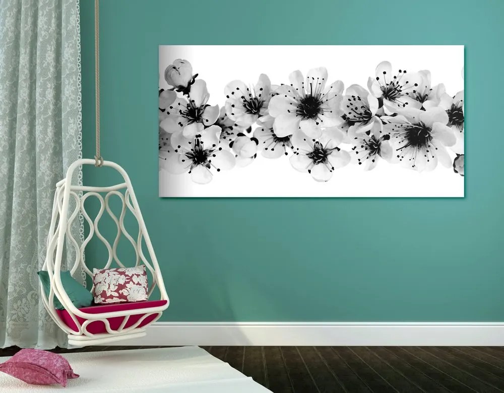 Quadro su tela – Fiori di ciliegio in bianco e nero