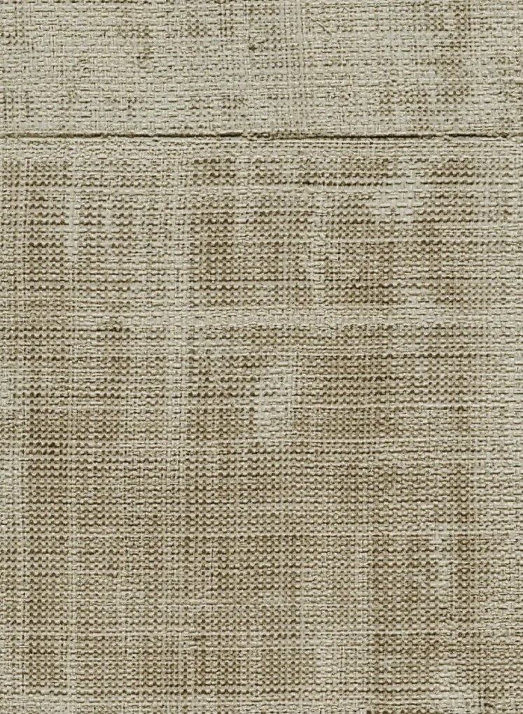 Élitis Carta da parati Atelier De Artiste - VP 880 15