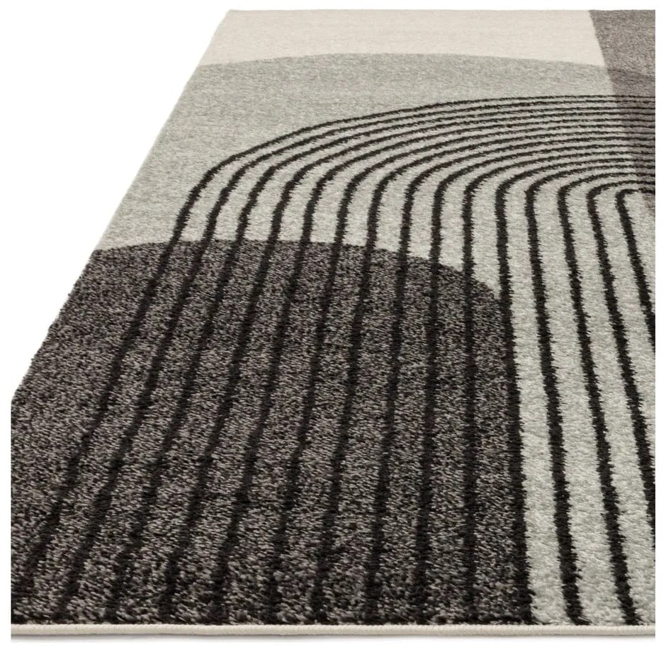 Tappeto grigio 230x160 cm Muse - Asiatic Carpets