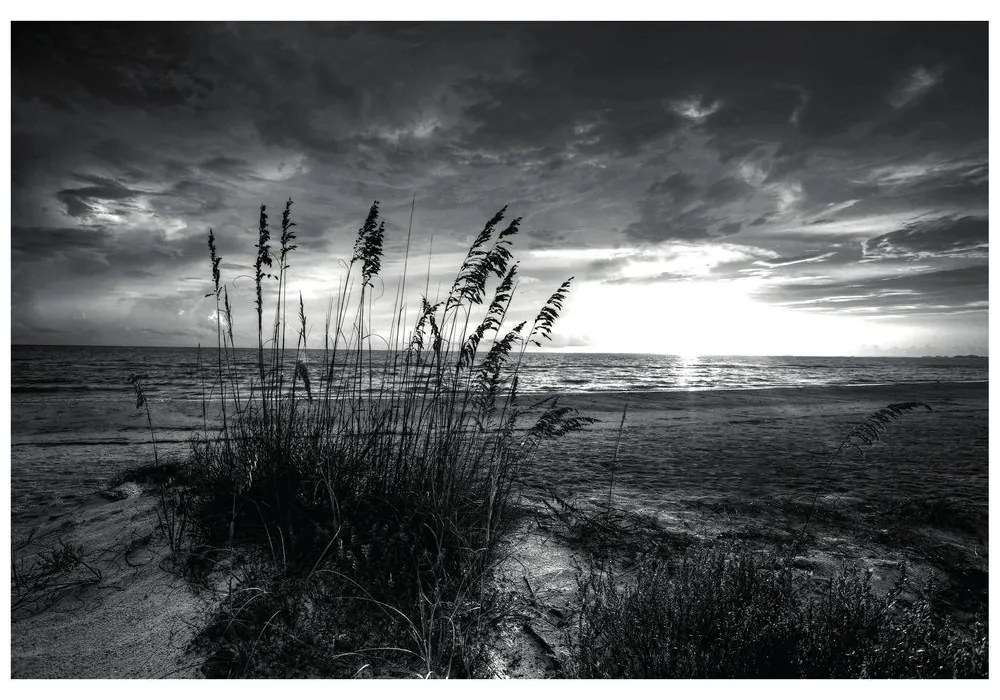 Carta da parati – Tramonto sulla spiaggia in bianco e nero