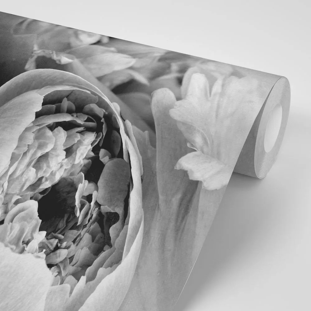 Carta da parati – Petali di fiore in bianco e nero