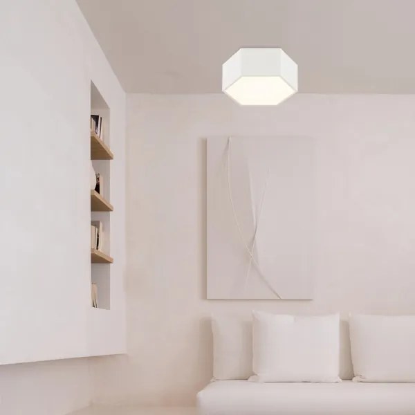 Argon 8781 - Plafoniera LED LIBERO LED/12W/230V 3000K bianco