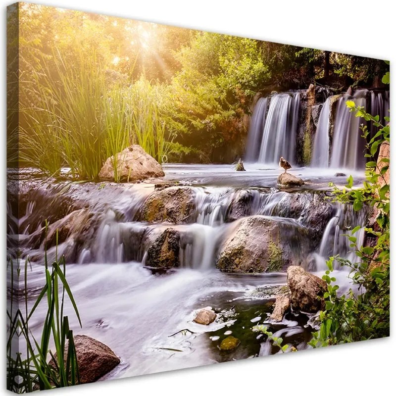 Quadro su tela, Cascata alla natura del tramonto  Dimensioni Tappeti 90x60