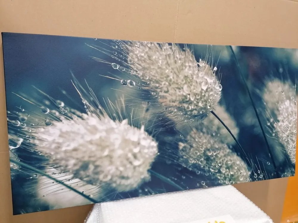 Quadro su tela – Gocce di rugiada sull'erba