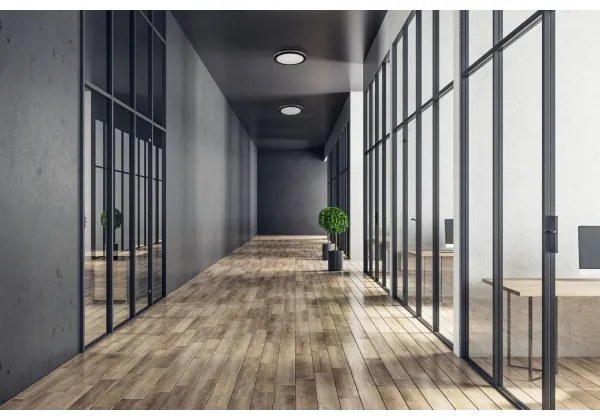 Kanlux 38387 - Lampada LED da esterno BENO ECO LED/40W/230V 3000/4000/6500K IP65